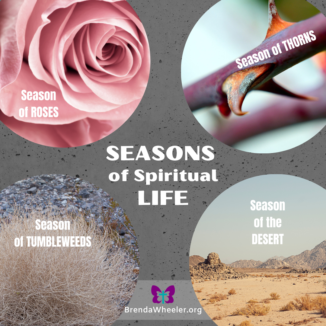 Seasons of Spiritual Life Seasons of Spiritual Life. Rich results on Google SERP when searching for 'Seasons' or 'Spiritual Life'